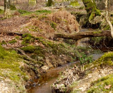 431133141_725310273051267_2956106086090477027_n